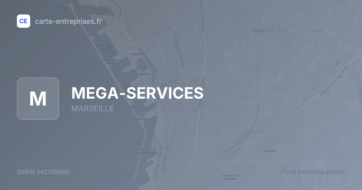 MEGA-SERVICES — 342769890 — fiche entreprise