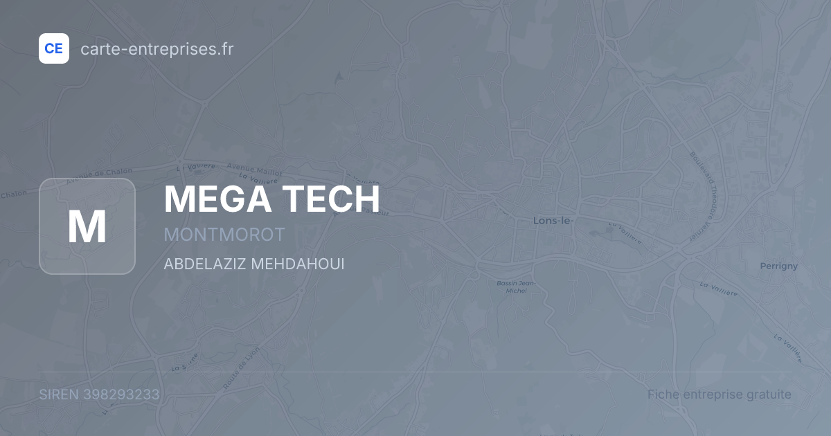 MEGA TECH — 398293233 — fiche entreprise