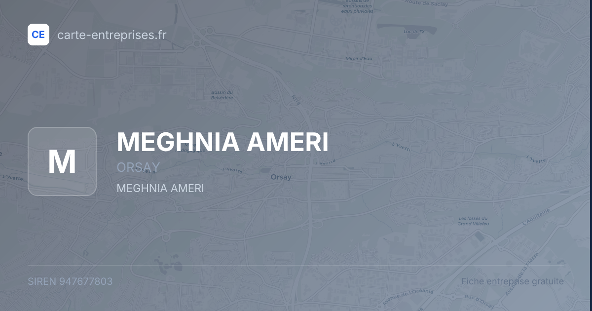MEGHNIA AMERI — 947677803 — fiche entreprise