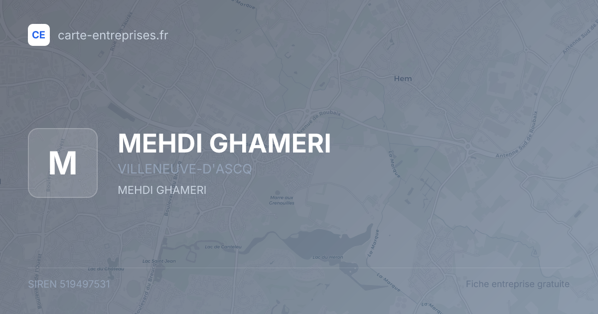 MEHDI GHAMERI — 519497531 — fiche entreprise