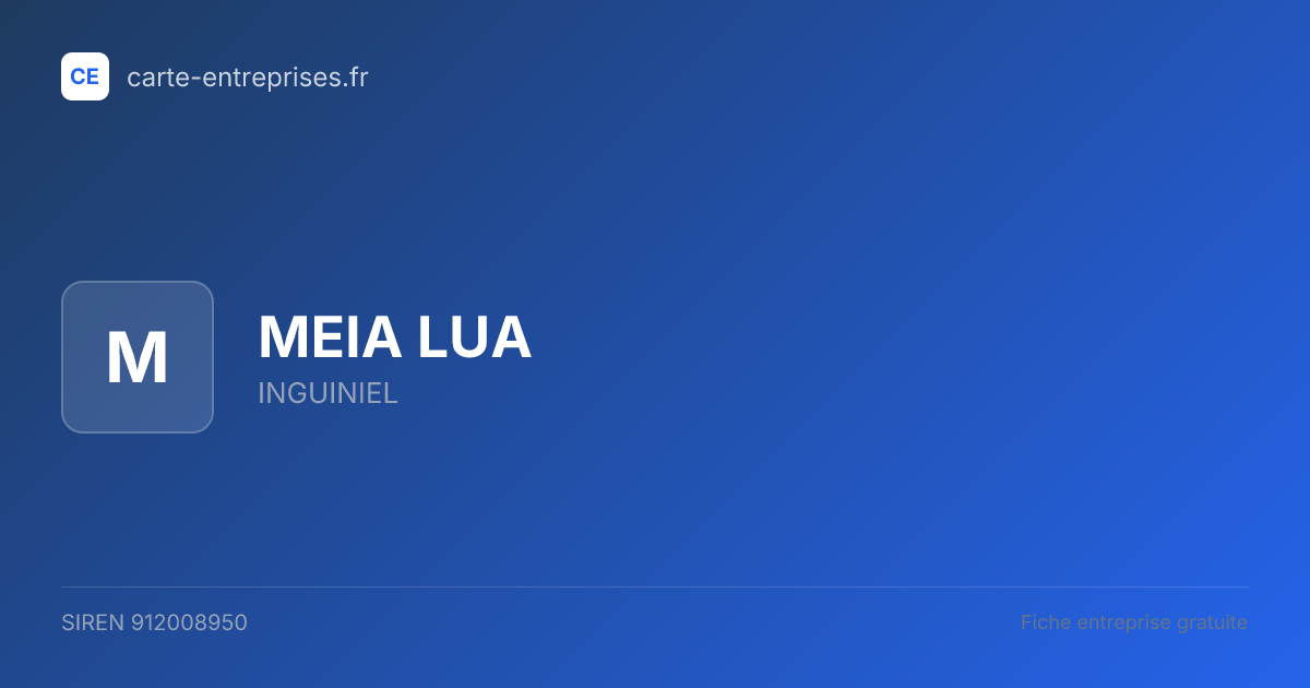 MEIA LUA — 912008950 — fiche entreprise