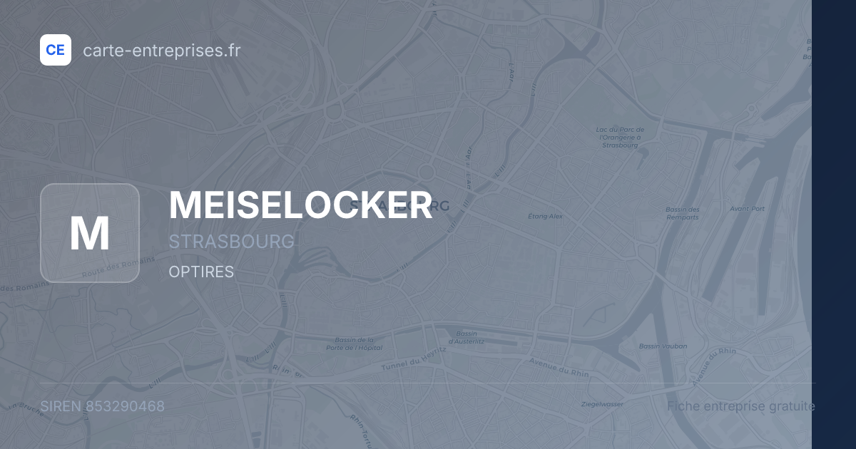 MEISELOCKER — 853290468 — fiche entreprise