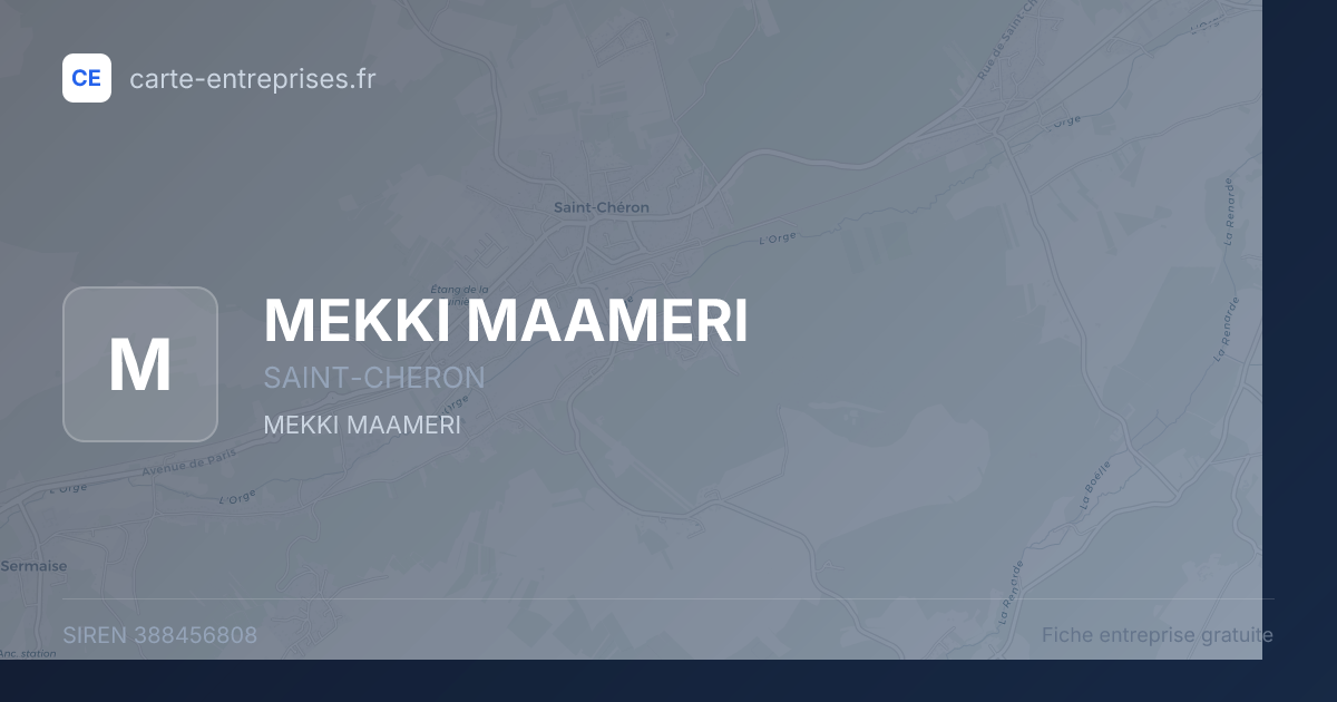 MEKKI MAAMERI — 388456808 — fiche entreprise