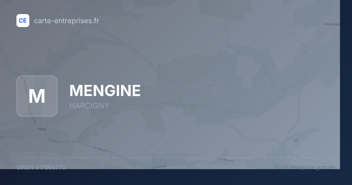 MENGINE — 917868770 — fiche entreprise