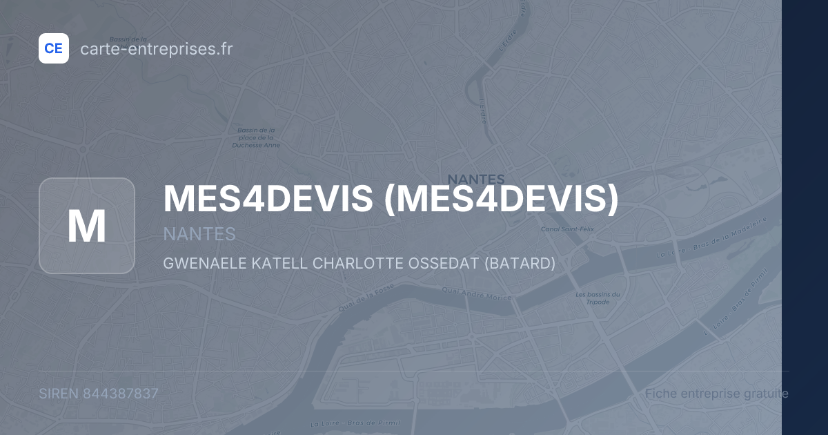 MES4DEVIS — 844387837 — fiche entreprise