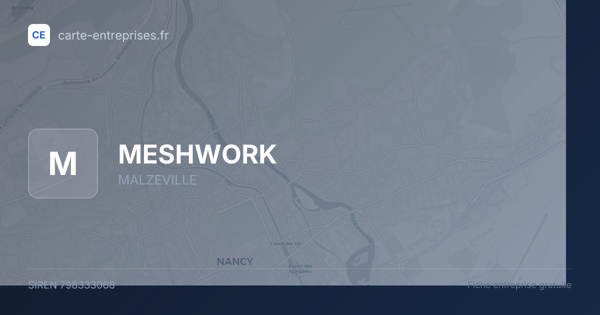 MESHWORK — 798333068 — fiche entreprise