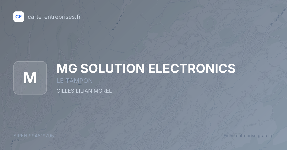 MG SOLUTION ELECTRONICS — 994819795 — fiche entreprise