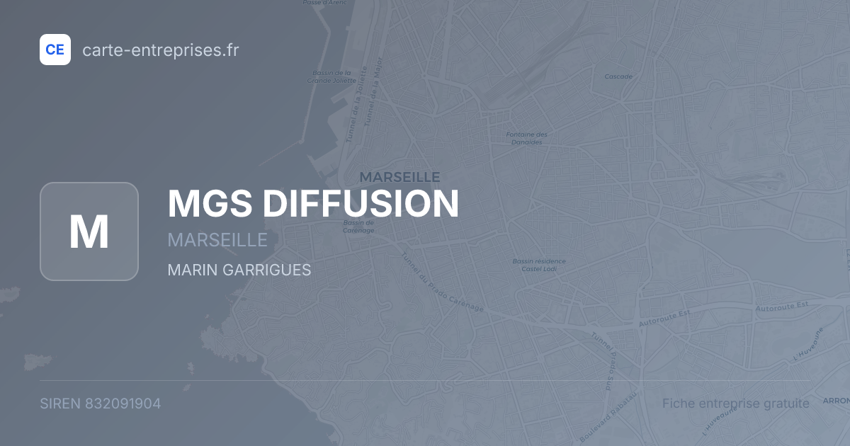 MGS DIFFUSION — 832091904 — fiche entreprise
