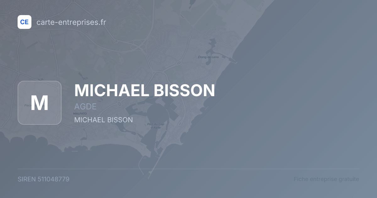 MICHAEL BISSON — 511048779 — fiche entreprise