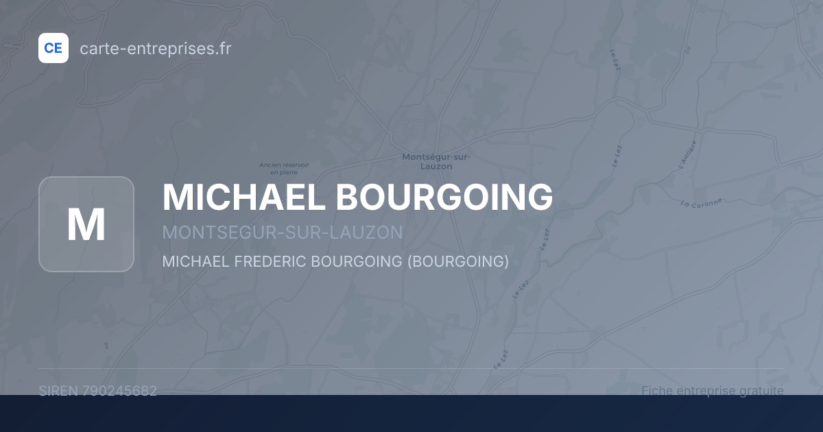 MICHAEL BOURGOING — 790245682 — fiche entreprise