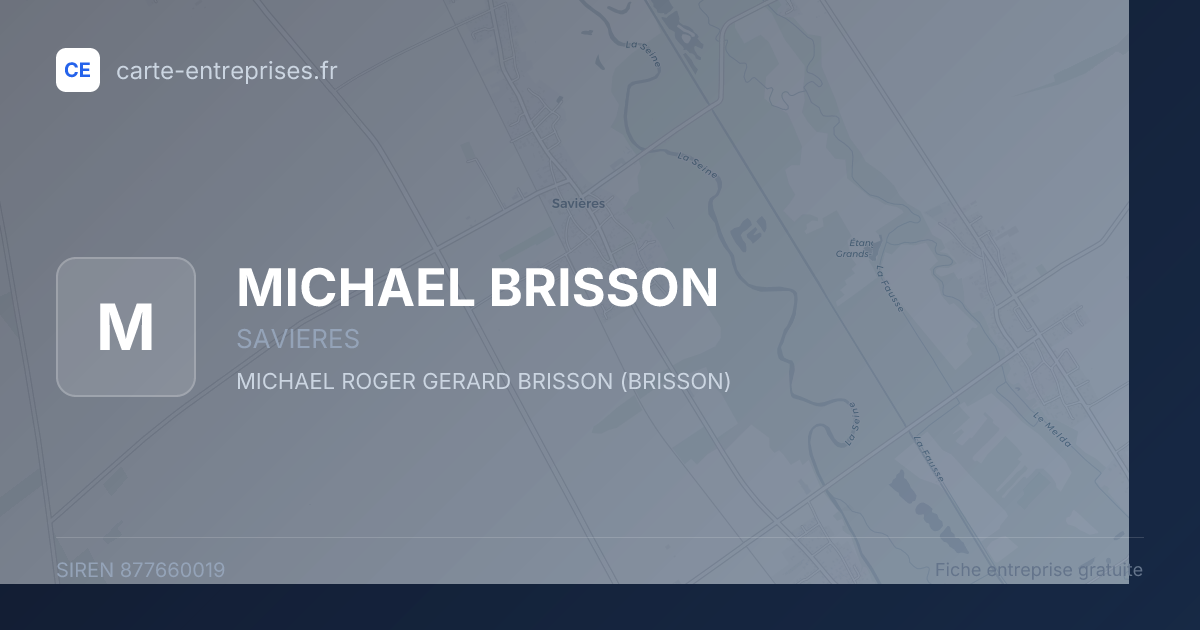 MICHAEL BRISSON — 877660019 — fiche entreprise