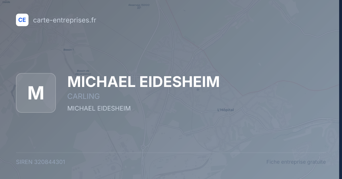 MICHAEL EIDESHEIM — 320844301 — fiche entreprise