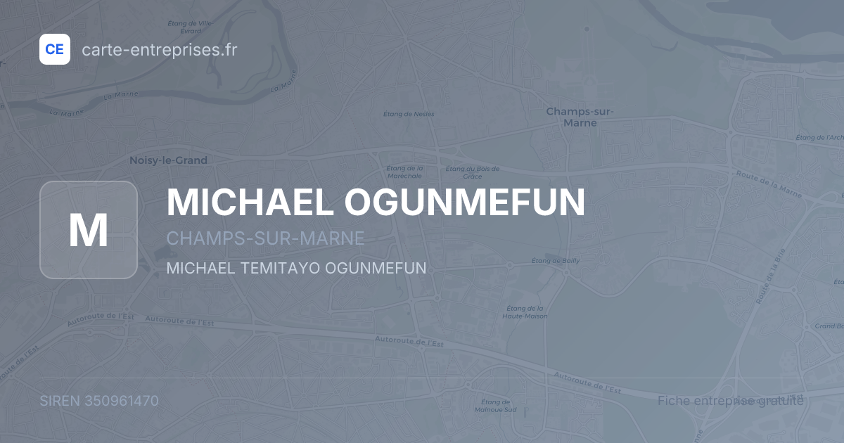 MICHAEL OGUNMEFUN — 350961470 — fiche entreprise