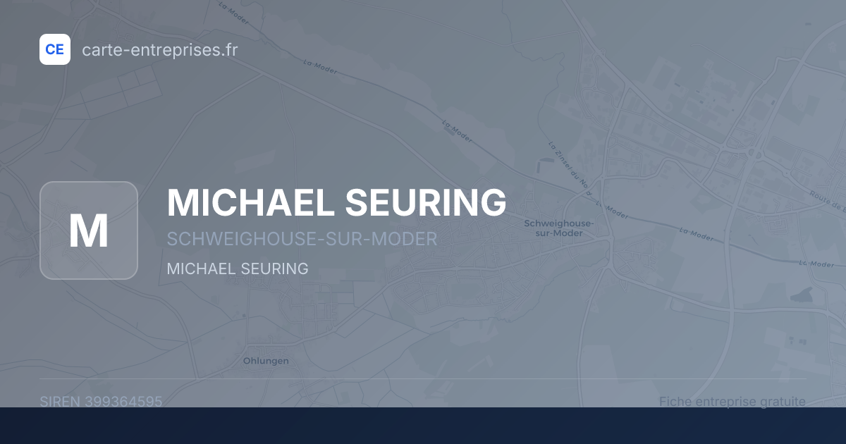 MICHAEL SEURING — 399364595 — fiche entreprise