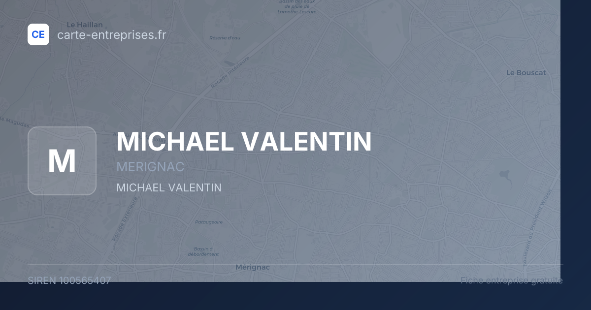 MICHAEL VALENTIN — 100565407 — fiche entreprise