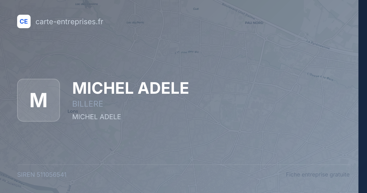MICHEL ADELE — 511056541 — fiche entreprise