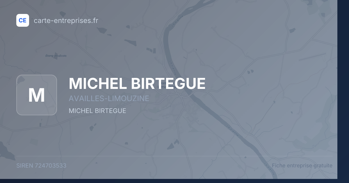 MICHEL BIRTEGUE — 724703533 — fiche entreprise