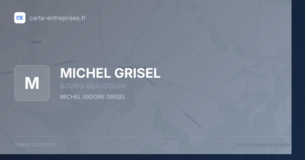 MICHEL GRISEL — 313450231 — fiche entreprise