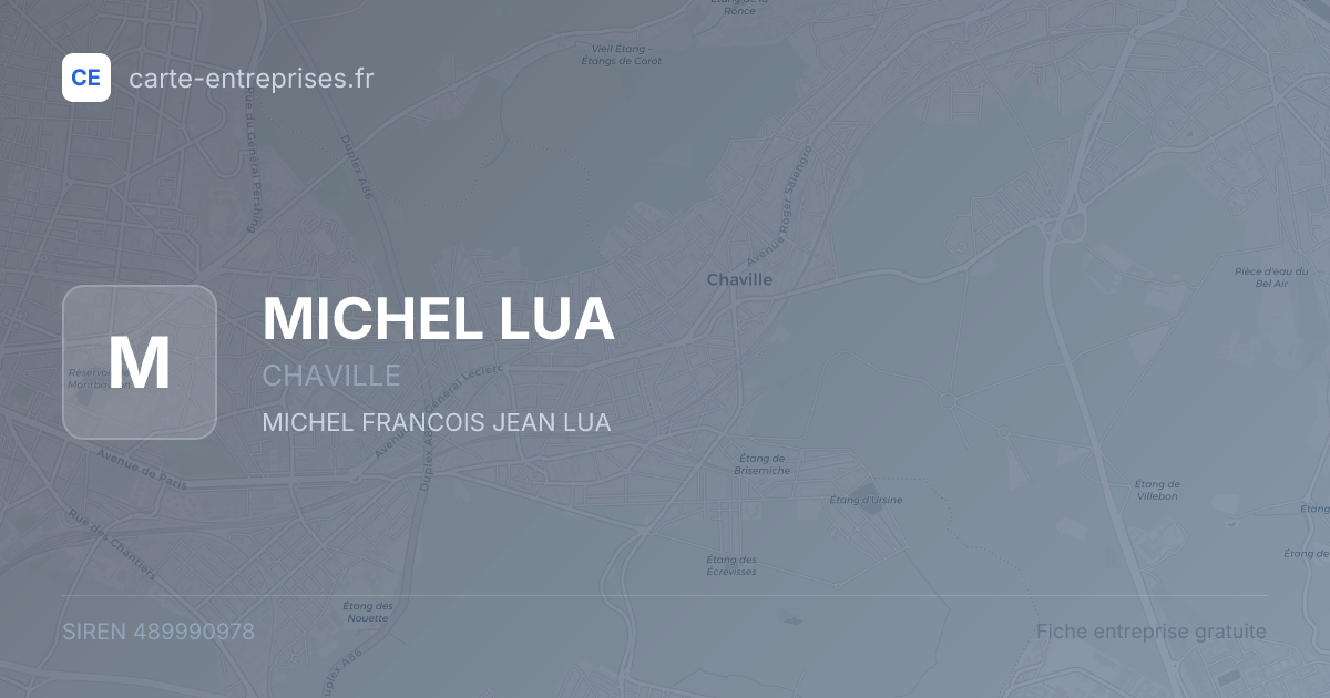 MICHEL LUA — 489990978 — fiche entreprise
