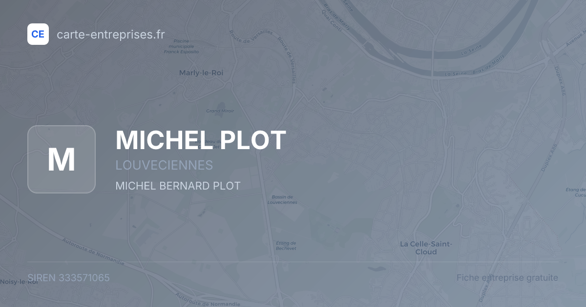 MICHEL PLOT — 333571065 — fiche entreprise