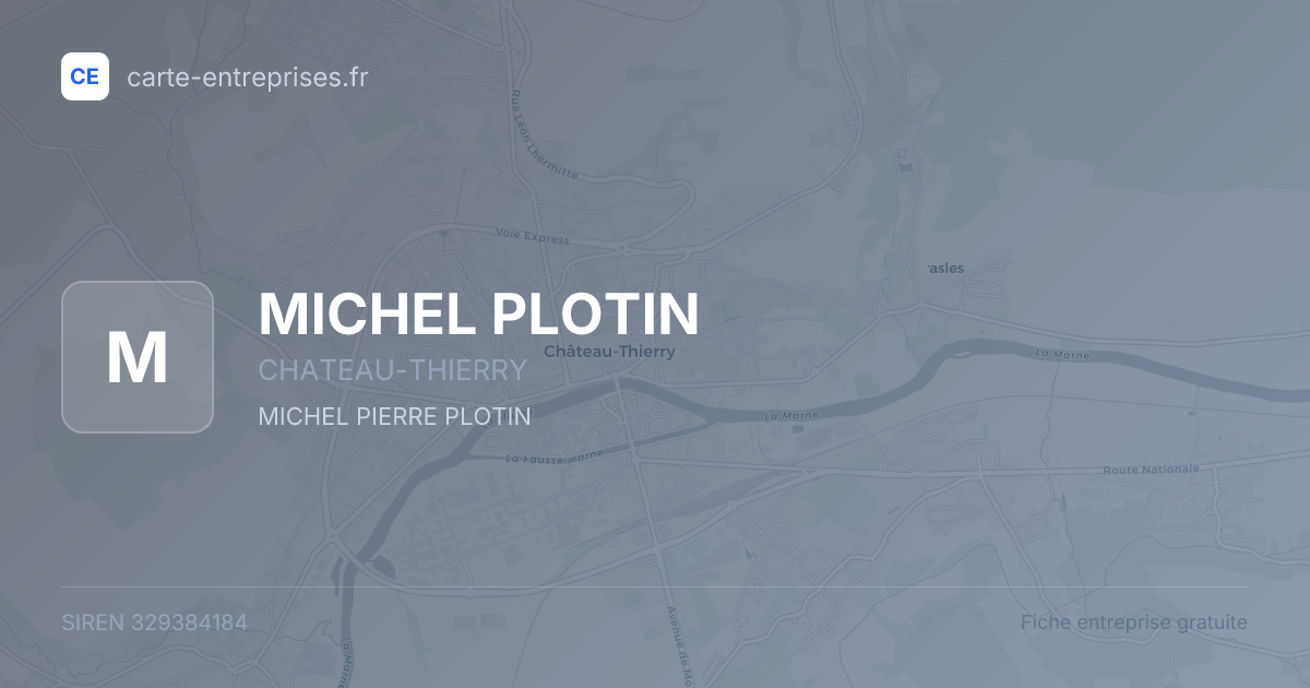 MICHEL PLOTIN — 329384184 — fiche entreprise