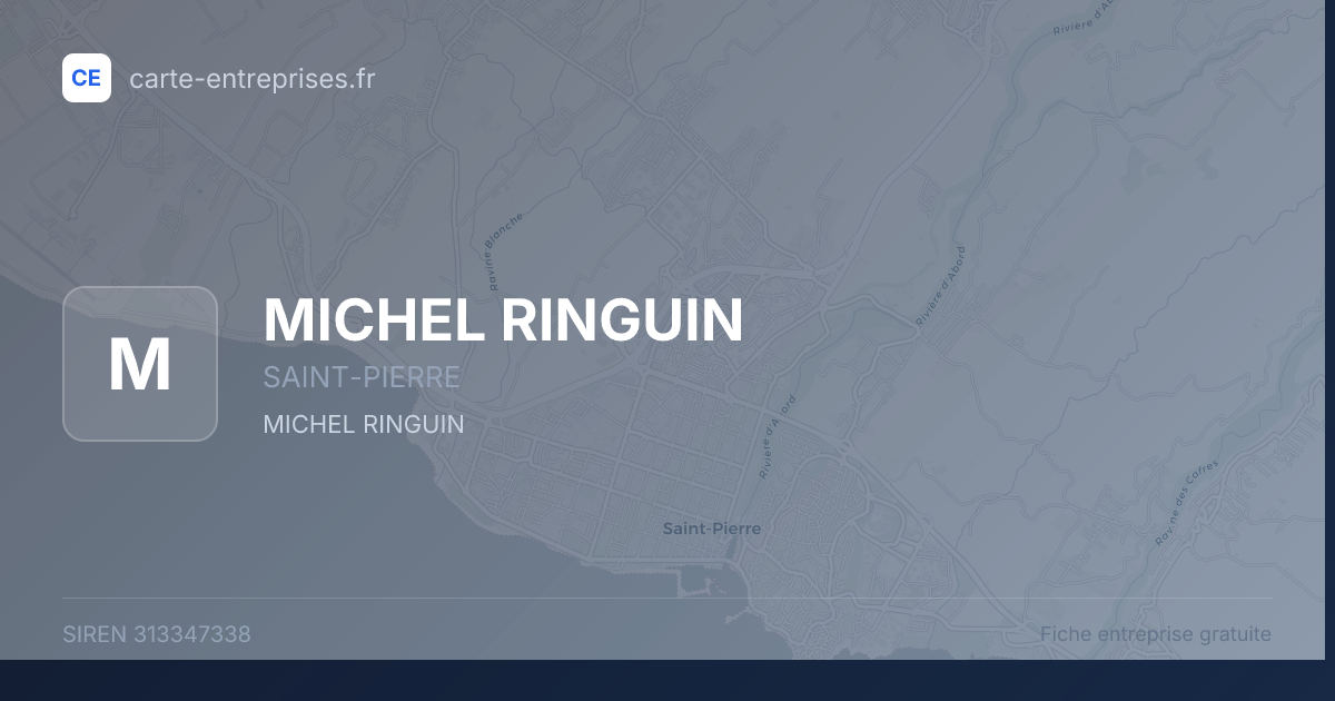 MICHEL RINGUIN — 313347338 — fiche entreprise