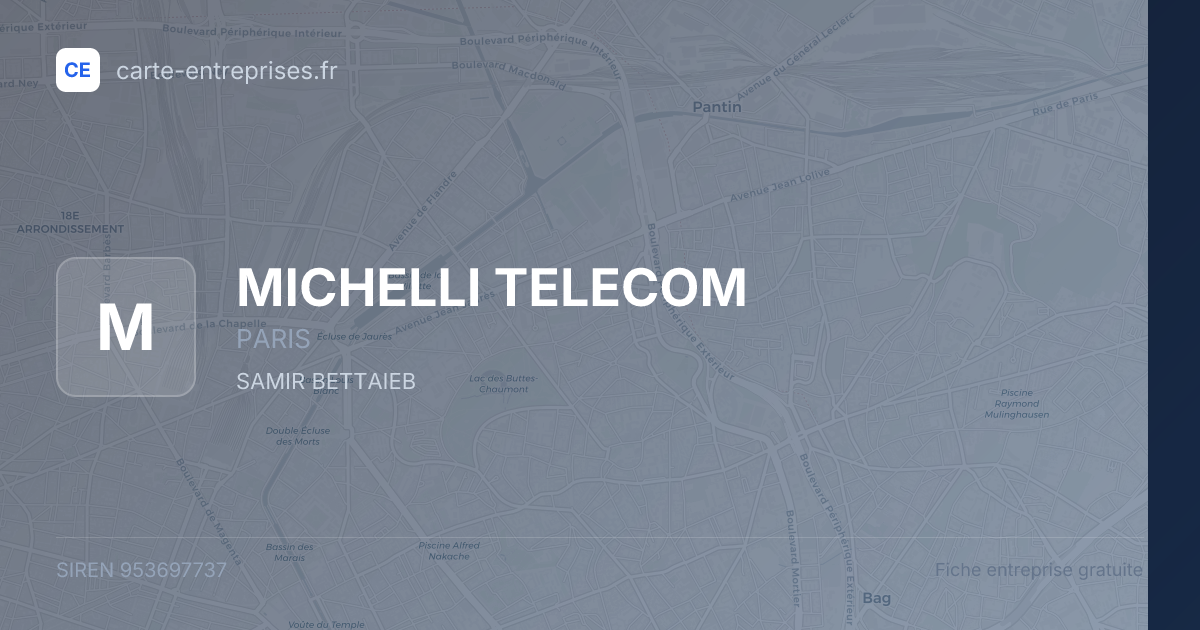 MICHELLI TELECOM — 953697737 — fiche entreprise