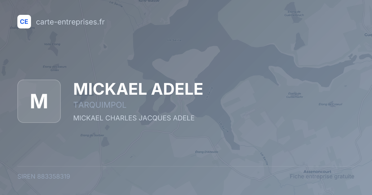 MICKAEL ADELE — 883358319 — fiche entreprise