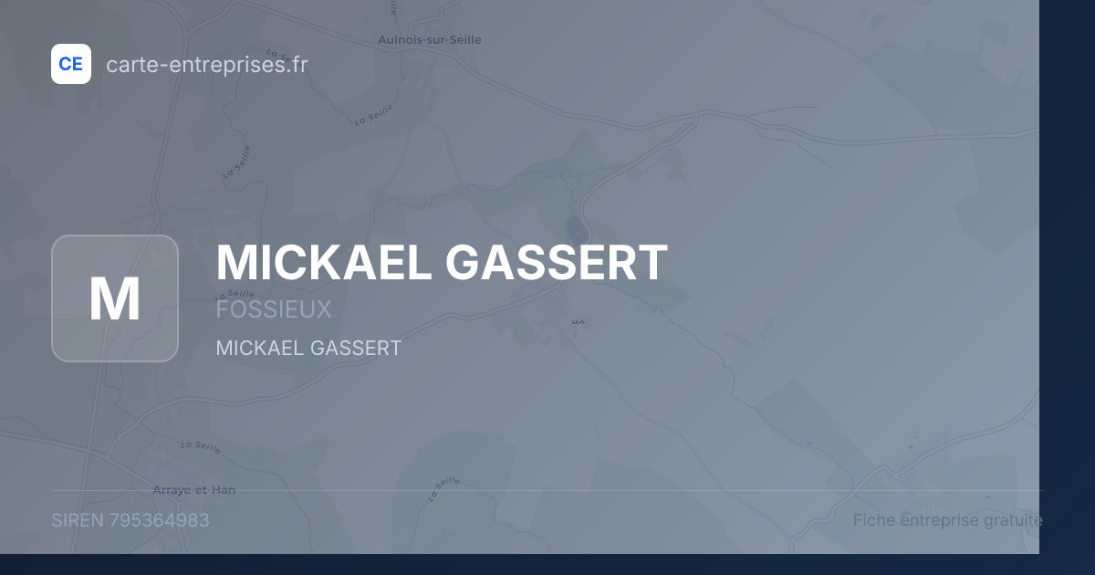 MICKAEL GASSERT — 795364983 — fiche entreprise