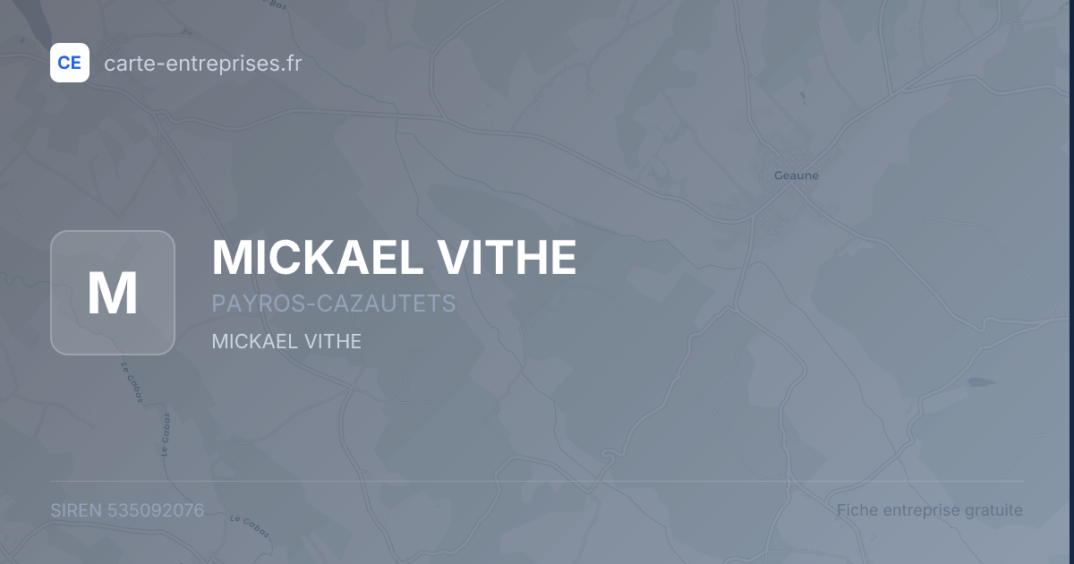 MICKAEL VITHE — 535092076 — fiche entreprise