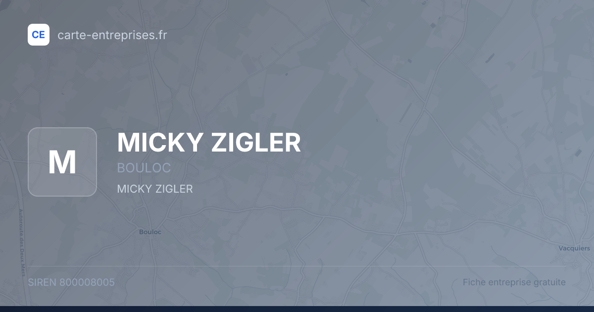 MICKY ZIGLER — 800008005 — fiche entreprise