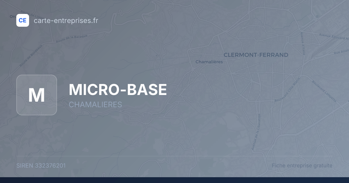 MICRO-BASE — 332376201 — fiche entreprise