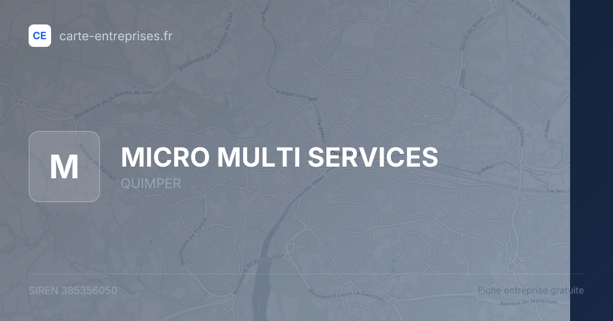 MICRO MULTI SERVICES — 385356050 — fiche entreprise