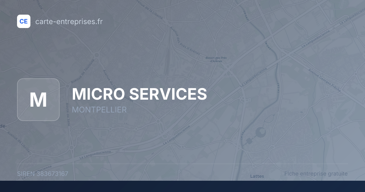 MICRO SERVICES — 383673167 — fiche entreprise
