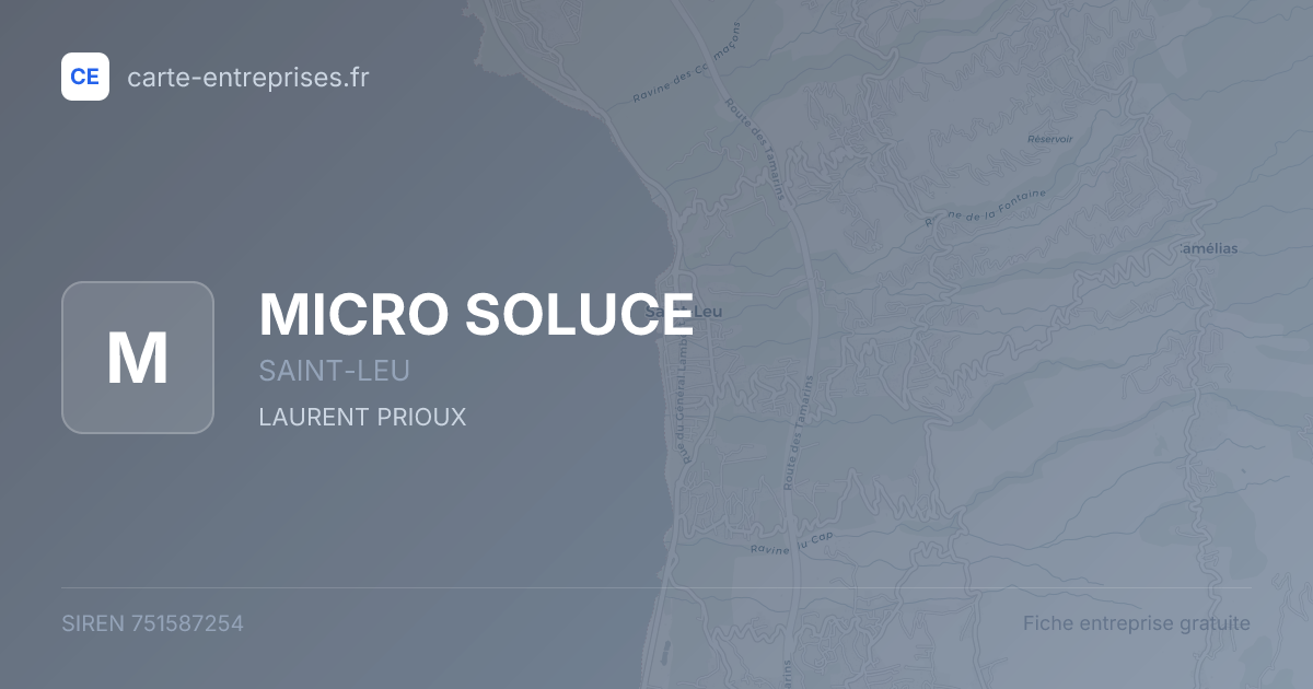 MICRO SOLUCE — 751587254 — fiche entreprise