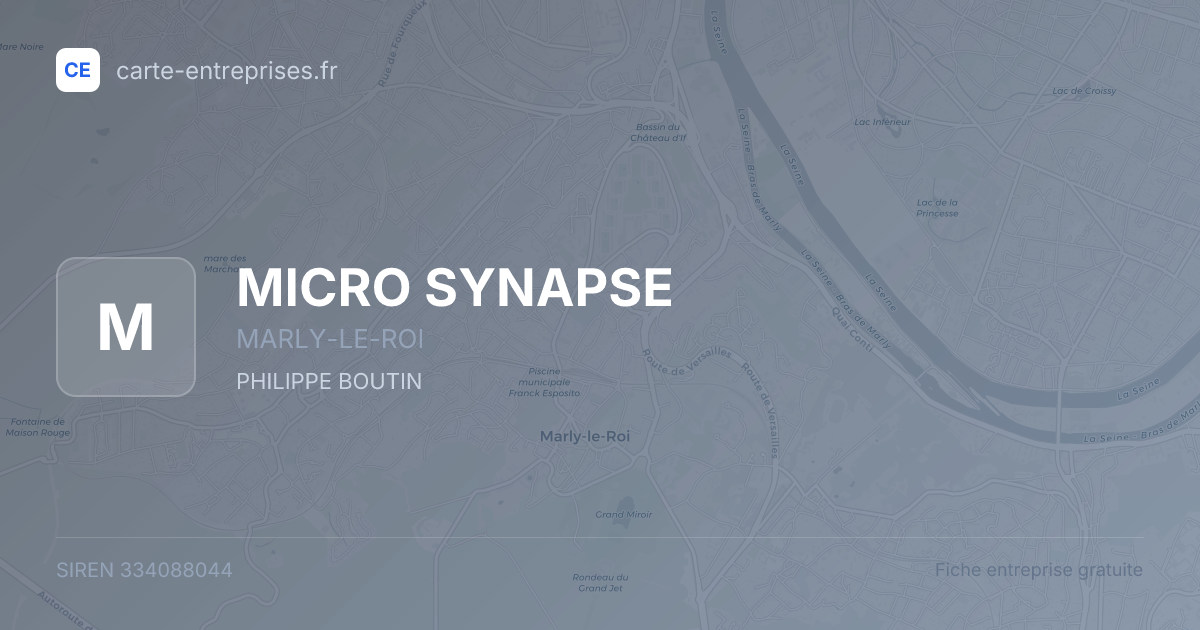MICRO SYNAPSE — 334088044 — fiche entreprise