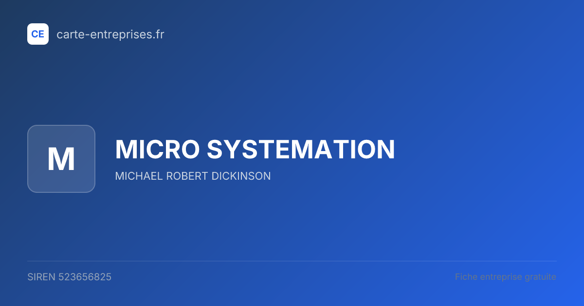 MICRO SYSTEMATION — 523656825 — fiche entreprise