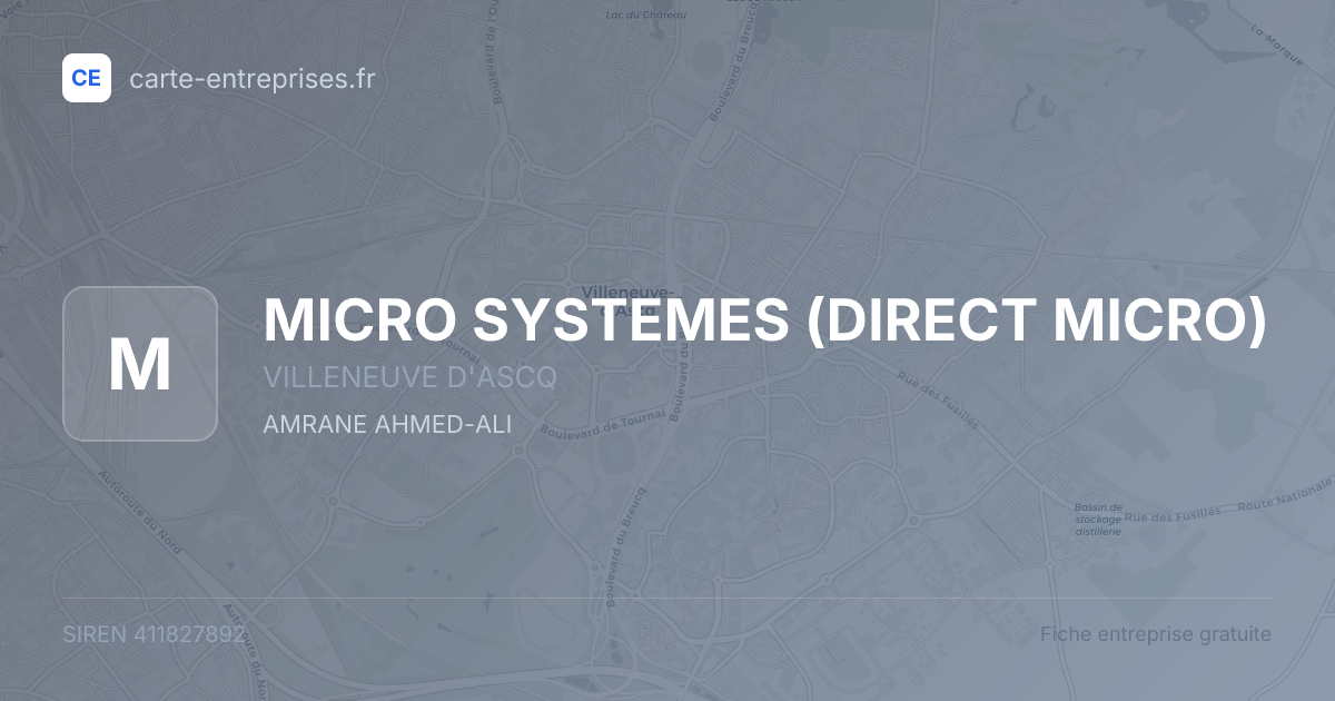 MICRO SYSTEMES (DIRECT MICRO) — 411827892 — fiche entreprise