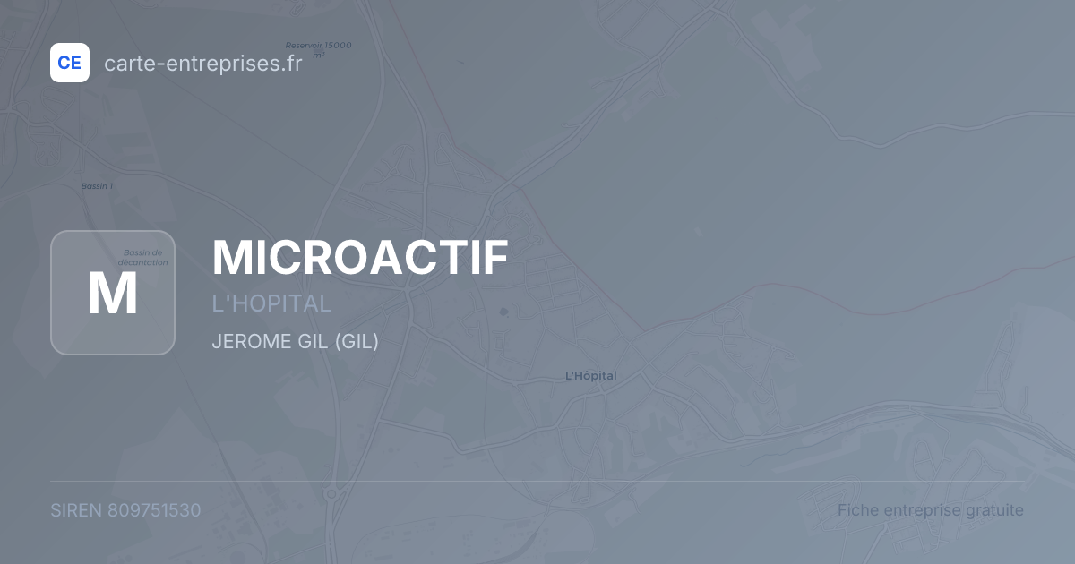 MICROACTIF — 809751530 — fiche entreprise