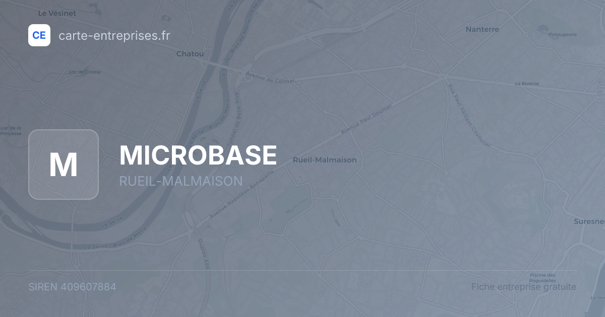 MICROBASE — 409607884 — fiche entreprise
