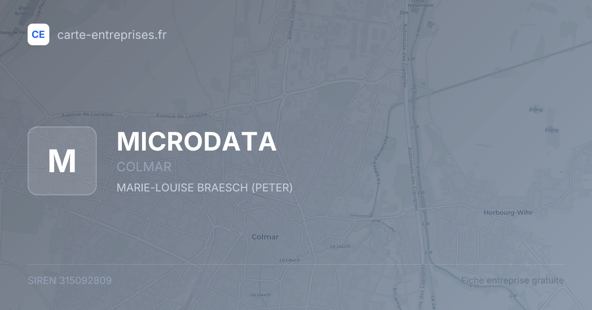 MICRODATA — 315092809 — fiche entreprise