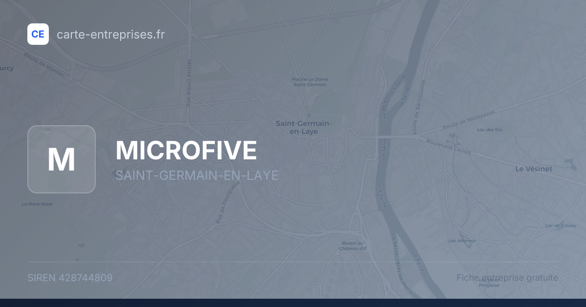 MICROFIVE — 428744809 — fiche entreprise