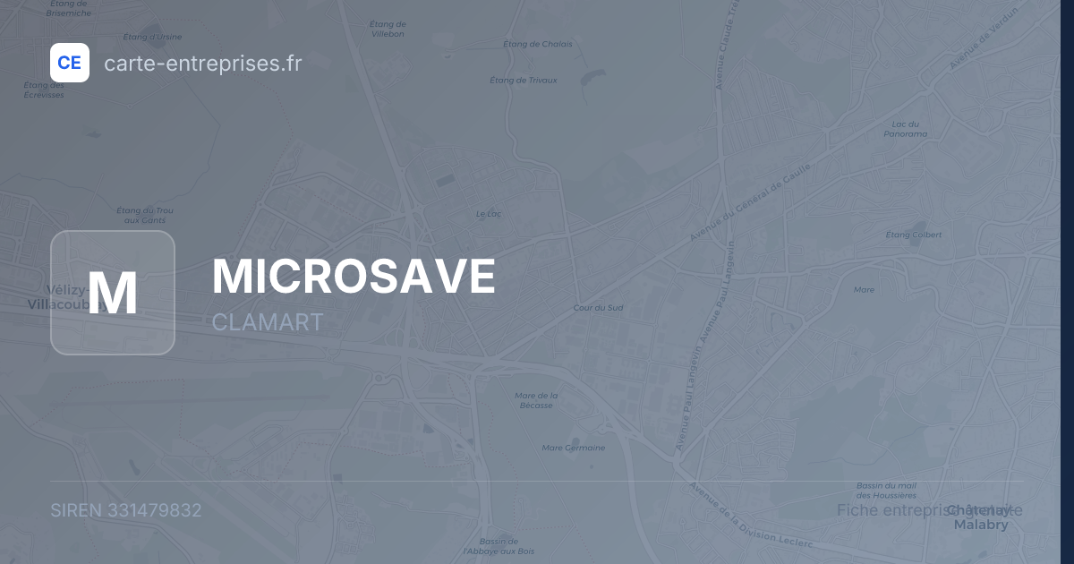 MICROSAVE — 331479832 — fiche entreprise
