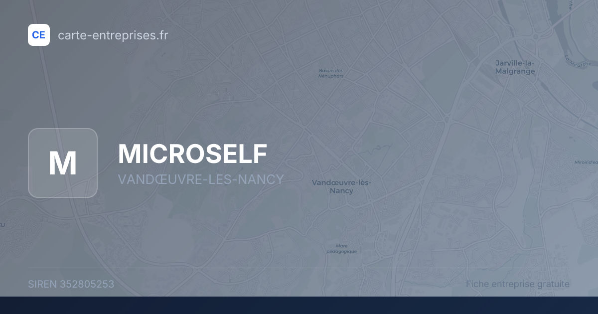MICROSELF — 352805253 — fiche entreprise
