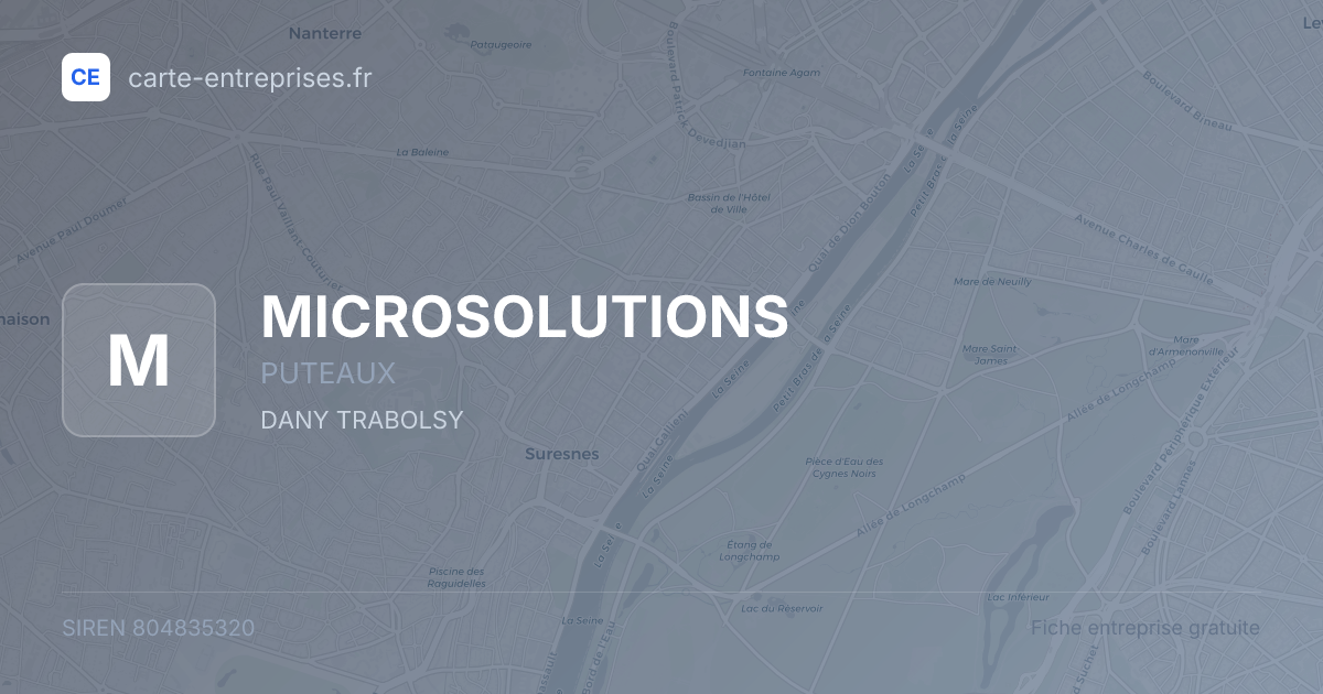 MICROSOLUTIONS — 804835320 — fiche entreprise