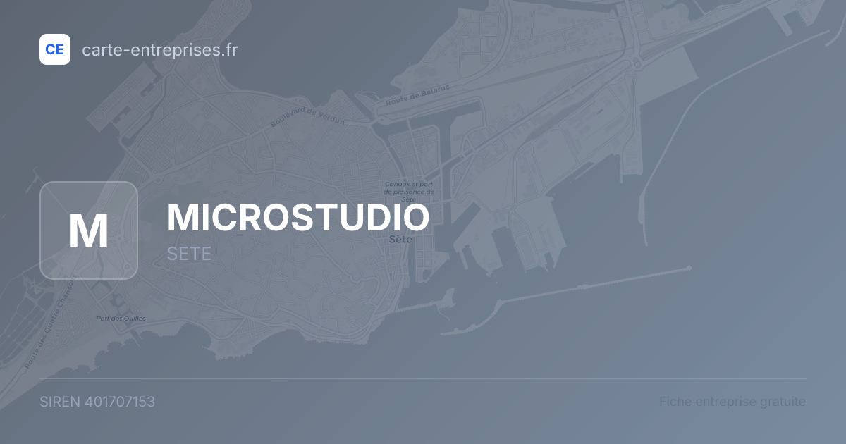 MICROSTUDIO — 401707153 — fiche entreprise