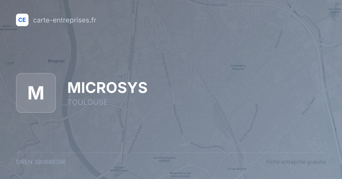 MICROSYS — 380686386 — fiche entreprise
