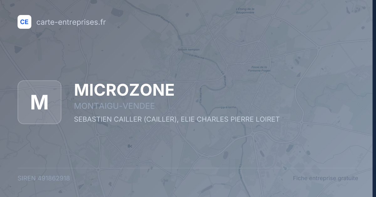 MICROZONE — 491862918 — fiche entreprise