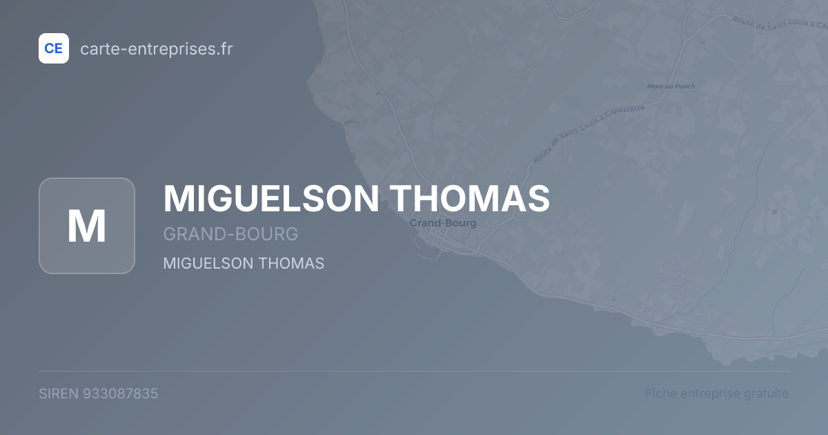MIGUELSON THOMAS — 933087835 — fiche entreprise