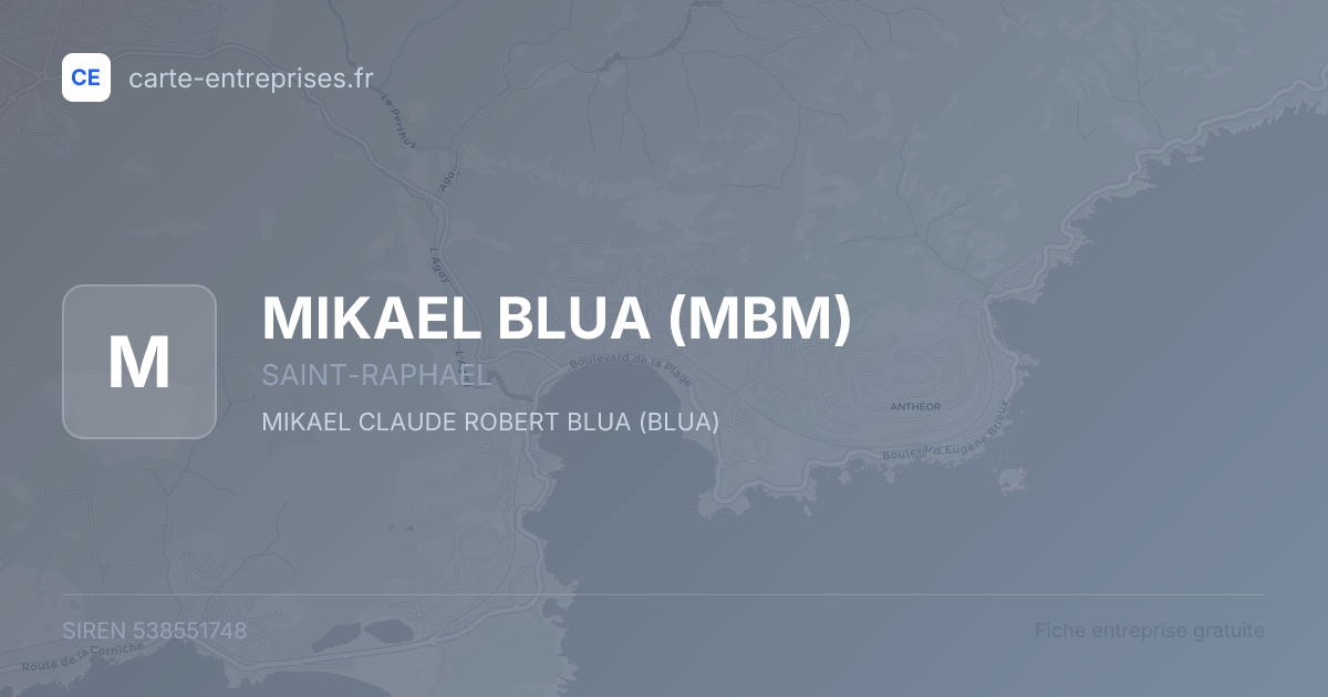 MIKAEL BLUA (MBM) — 538551748 — fiche entreprise